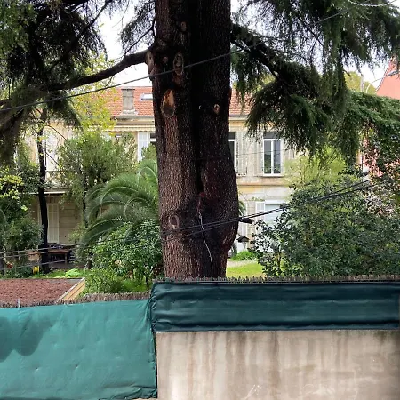 Studio And Gallery *